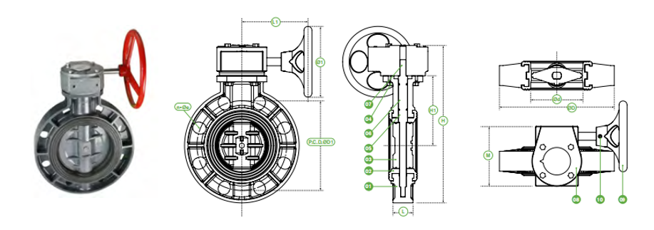 This picture shows the structure of pvc butterfly valve with geartype