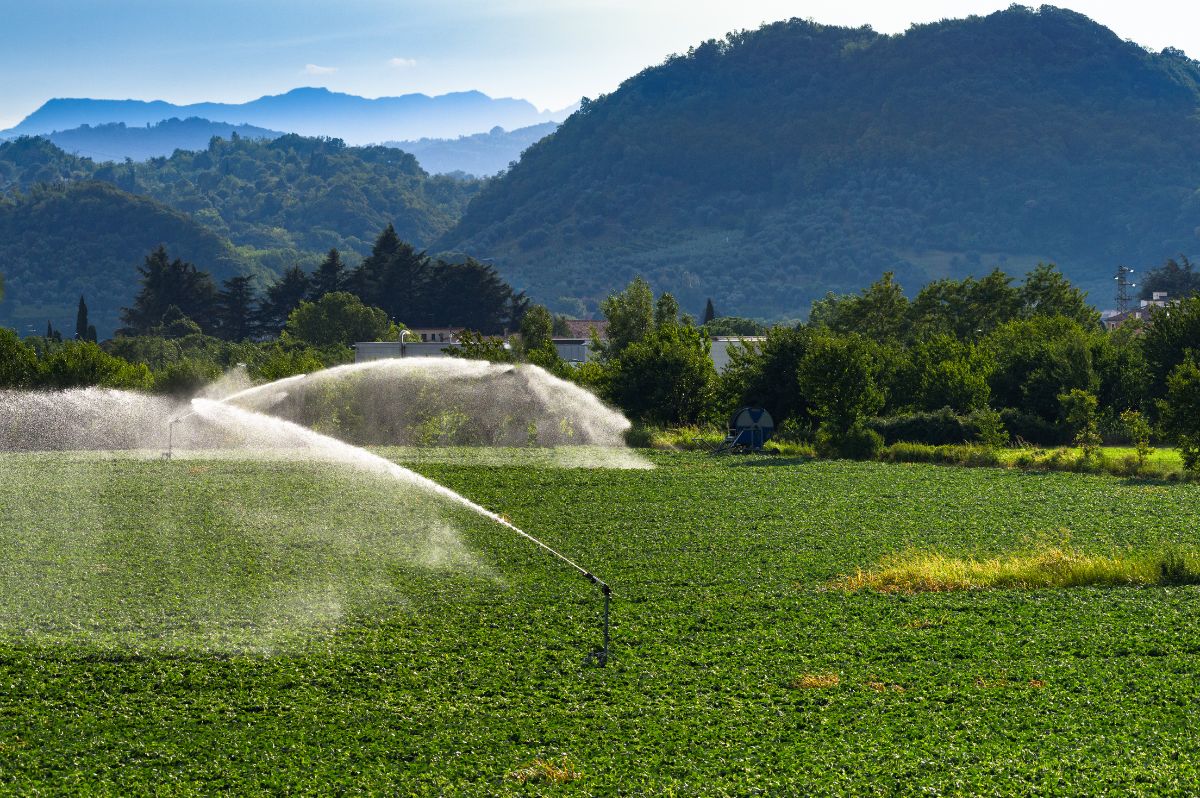 Irrigation System