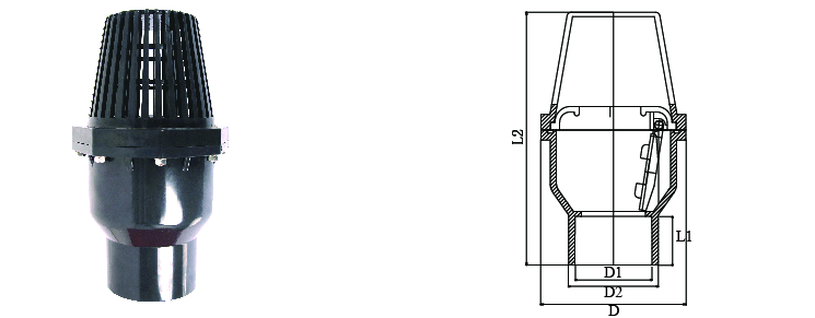 This picture shows the pruduct design drawing of flange type foot valve